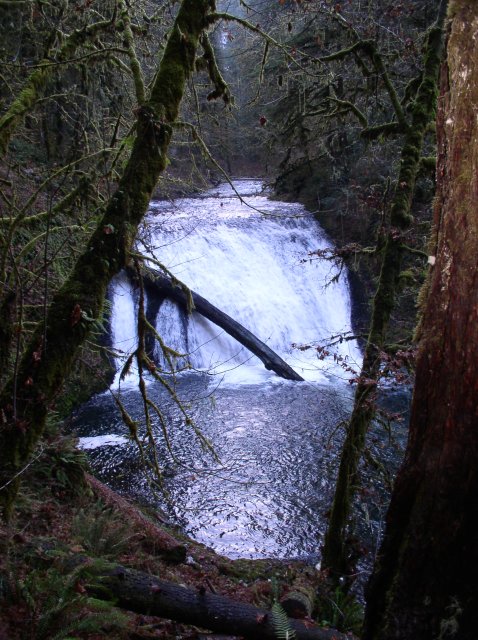 Silver Falls 12.10.05 052 